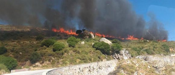 Νέα μεγάλη φωτιά στην ανατολική Μάνη