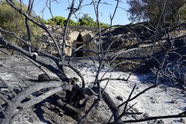 Οικολόγοι Πράσινοι: “Η πυρκαγιά στις Μυκήνες άφησε πίσω θλίψη και ένα τεράστιο ερωτηματικό”