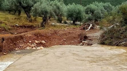 «Ιανός» – Φάρσαλα: Ανυπολόγιστες ζημιές σε σπίτια και αγροτικές εκτάσεις