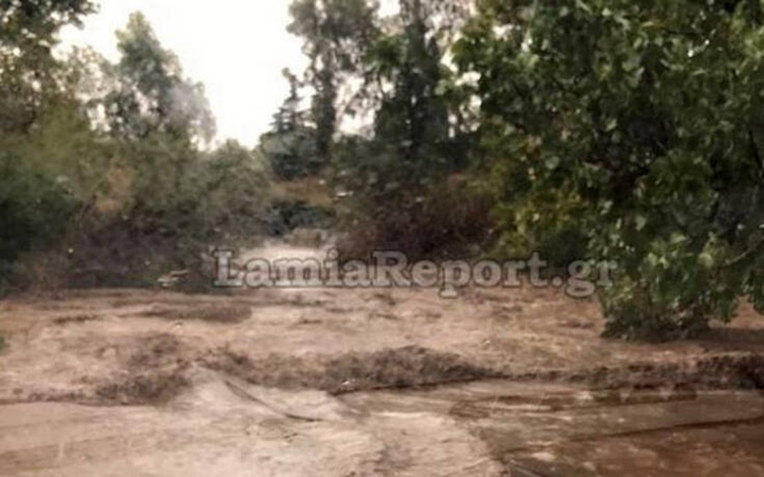 Ιανός οικογένεια