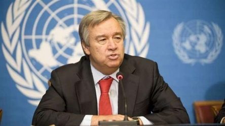 Γκουτέρες για βιοποικιλότητα: «Μειώνεται με έναν πρωτοφανή και ανησυχητικό ρυθμό»