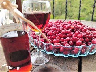Αγαπημένο παραδοσιακό λικέρ από κράνα (ΦΩΤΟ)