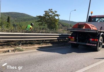 ΠΚΜ: Εργασίες κοπής πρασίνου στην Εθνική Οδό 2 Θεσσαλονίκης-Έδεσσας