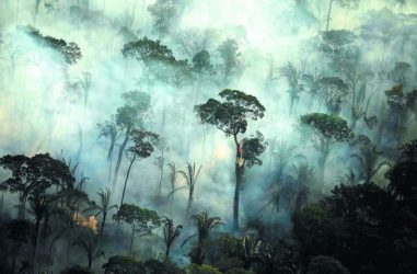 Αμαζόνιος: Αργοπεθαίνουν οι “πνεύμονες” της Γης (ΒΙΝΤΕΟ)
