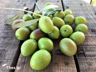 Ο επίσημος τιμοκατάλογος για τις πράσινες ελιές Χαλκιδικής