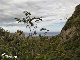 Ολυμπος: Υποψηφιότητα για να ενταχθεί στα Μνημεία της UNESCO