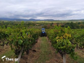 Επιχορηγήσεις μέχρι 500000 ευρώ για τους αγρότες