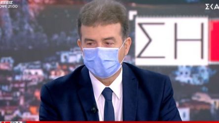 Ο Μιχ. Χρυσοχοΐδης ζητά «συγγνώμη» για τις συλλήψεις γυναικών στο Σύνταγμα