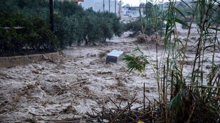 Οι Οικολόγοι Πράσινοι για τις καταστροφές στην Κρήτη