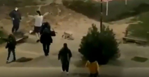 Καρδίτσα: Αστυνομικός δένει νεαρή πισθάγκωνα με χειροπέδες σε πλατεία (ΒΙΝΤΕΟ)