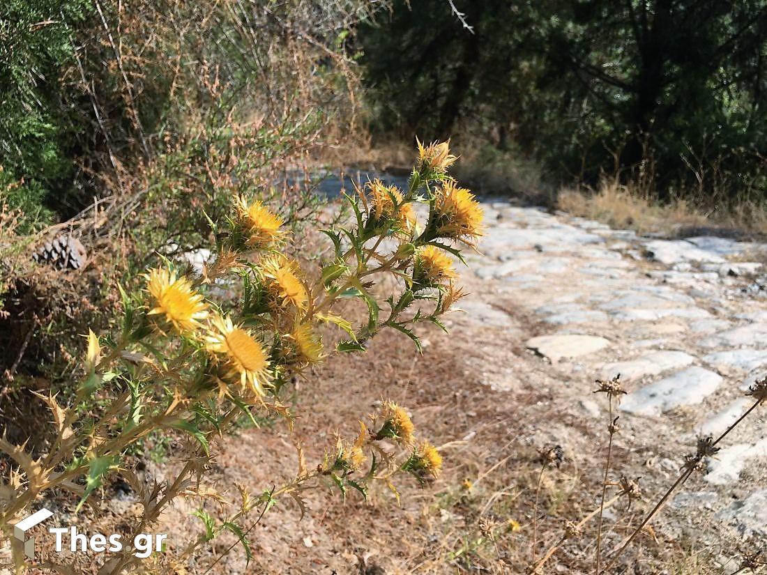 Αρχαία Εγνατία Οδός Καβάλα Φίλιπποι