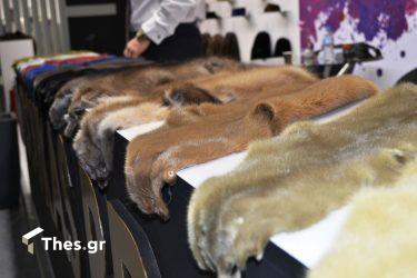 Εμβολιάζονται οι εκτροφείς γουνοφόρων ζώων στην Κοζάνη
