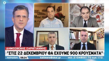 Δημ. Σαρηγιάννης για αγορά: «Οποιοδήποτε άνοιγμα θα είναι πρόωρο»