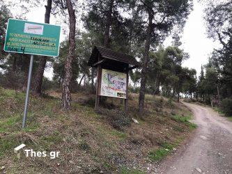 Τρεις δήμοι της Θεσσαλονίκης εναντίον της Αποκεντρωμένης Διοίκησης για το περιαστικό δάσος