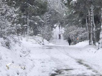 Γερμανία: Ποια είναι η εξήγηση για τις πολικές θερμοκρασίες σε όλη την Ευρώπη