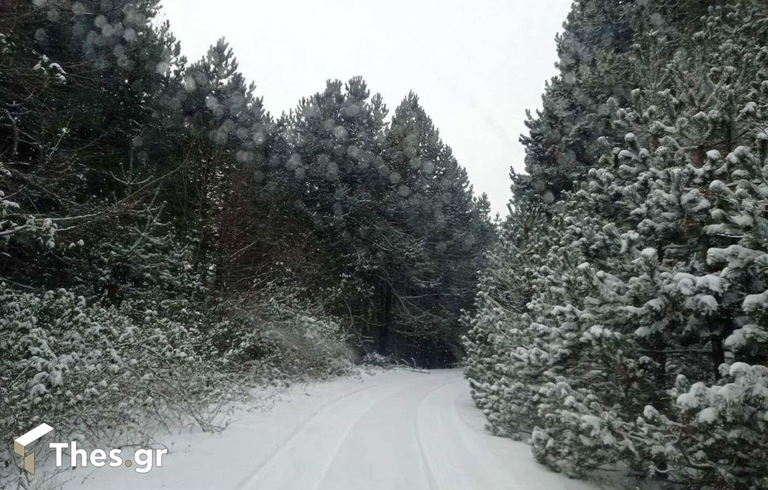 Παγγαίο Ορος κορυφή Παγγαίου χιόνι τοπίο χιονισμένο τοπίο