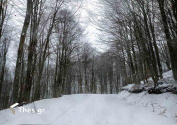 Κατάλευκο ονειρικό τοπίο στην κορυφή του Παγγαίου (ΦΩΤΟ)