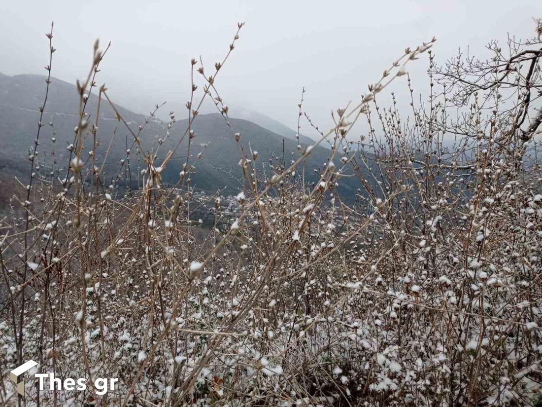 Παγγαίο Ορος κορυφή Παγγαίου χιόνι τοπίο χιονισμένο τοπίο