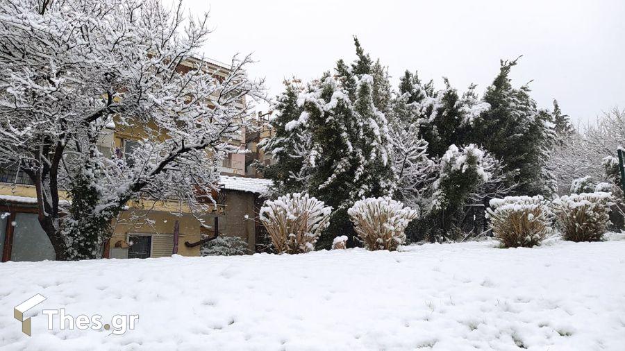 Θεσσαλονίκη χιόνι πόλη