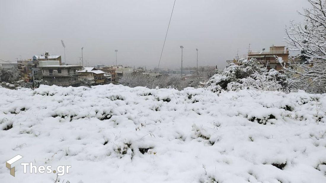Θεσσαλονίκη χιόνι πόλη σχολεία
