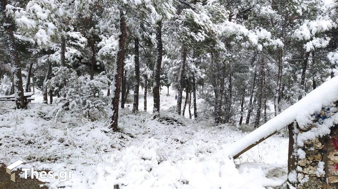 Θεσσαλονίκη χιόνι πόλη