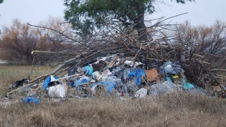 Σε σκουπιδότοπο… μετατρέπεται το προστατευόμενο Δέλτα Αξιού