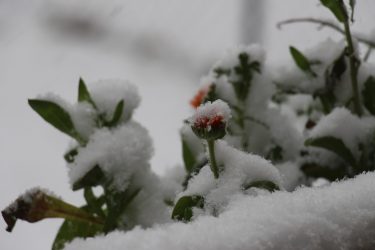 Καιρός: Ο χειμώνας “επέστρεψε” – Σε ποιες περιοχές το θερμόμετρο έδειξε κάτω από το μηδέν