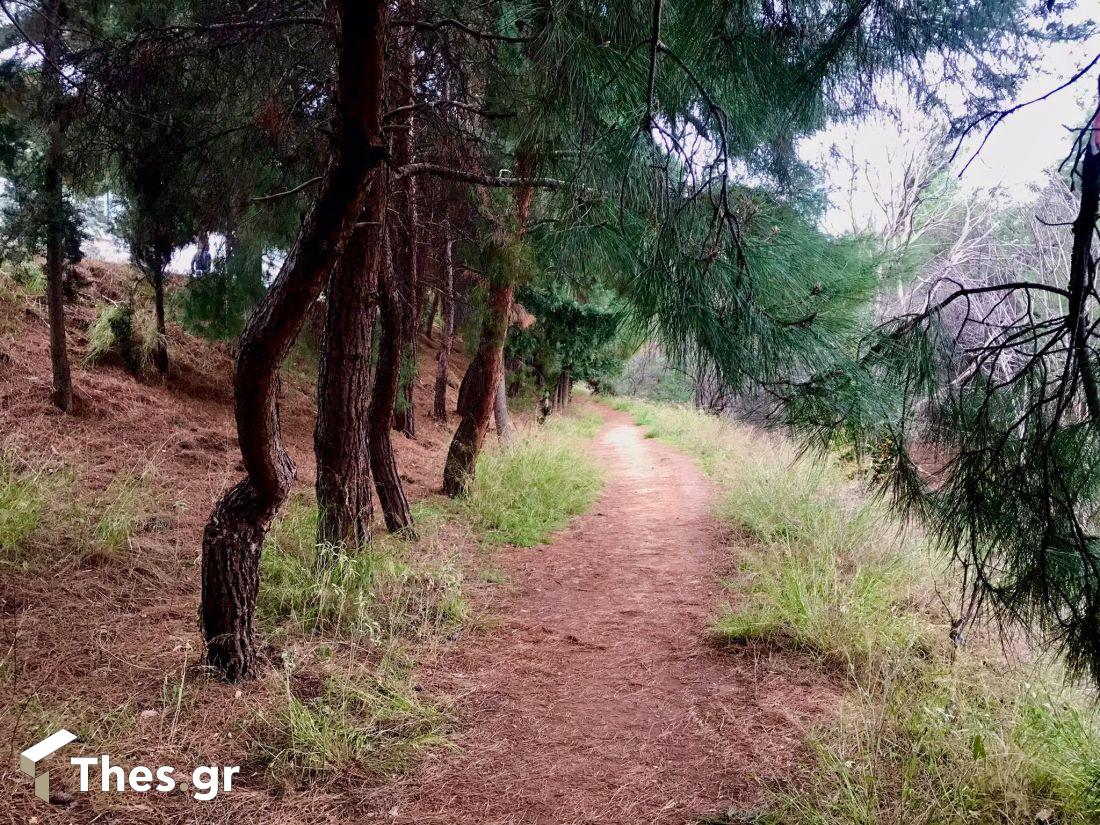 Θεσσαλονίκη διαδρομή πόλη περπάτημα Ανάχωμα Ρέμα Τούμπας