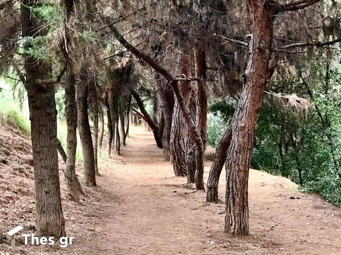 Θεσσαλονίκη διαδρομή πόλη περπάτημα Ανάχωμα Ρέμα Τούμπας