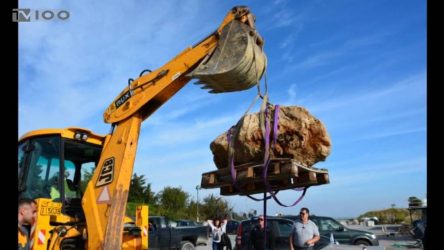 Οταν στο Θερμαϊκό ζούσαν τιτανοχελώνες 1,5 τόνου (ΒΙΝΤΕΟ)