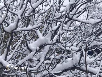 Στο -25 η Φλώρινα – Πολικές θερμοκρασίες από τη «Μήδεια»!