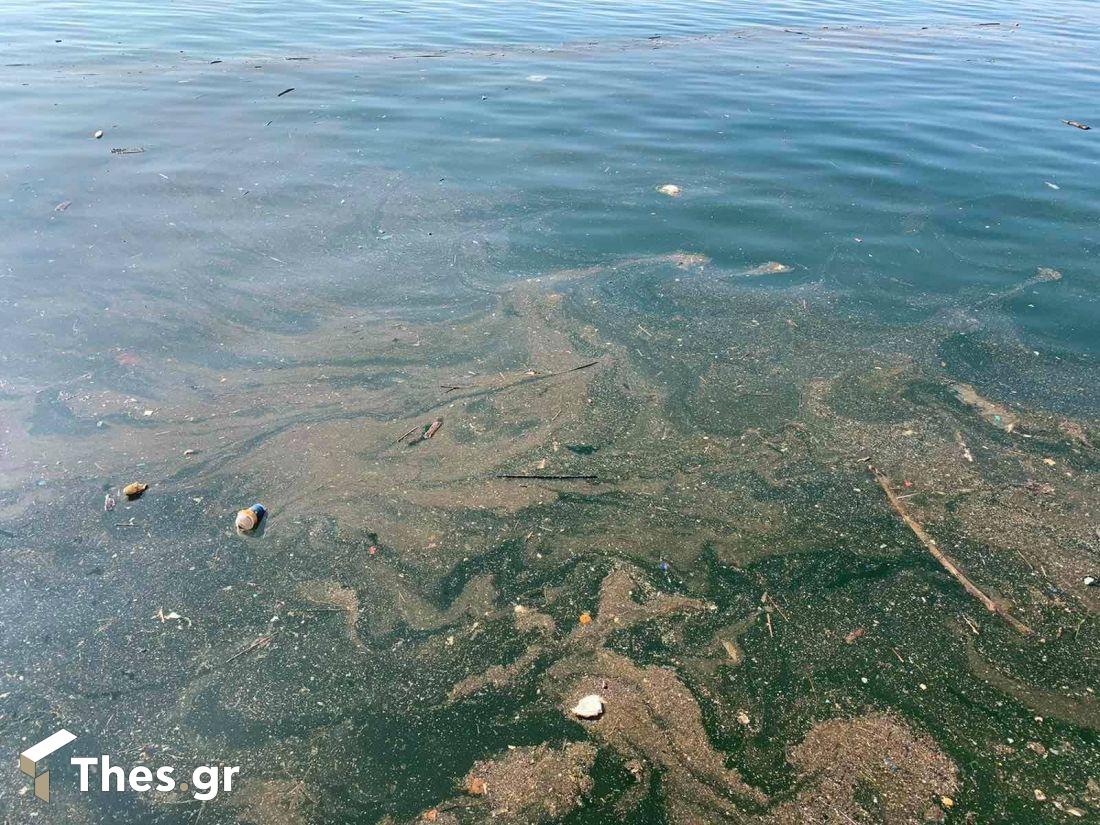 Σκουπίδια στο Θερμαϊκό Θεσσαλονίκη Θερμαϊκός