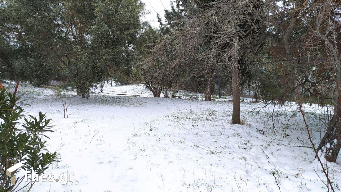 Θεσσαλονίκη χιόνια εικόνες