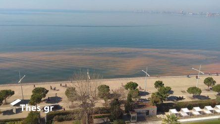 Η ερυθρά παλίρροια εμφανίστηκε και πάλι στο Θερμαϊκό (ΦΩΤΟ)