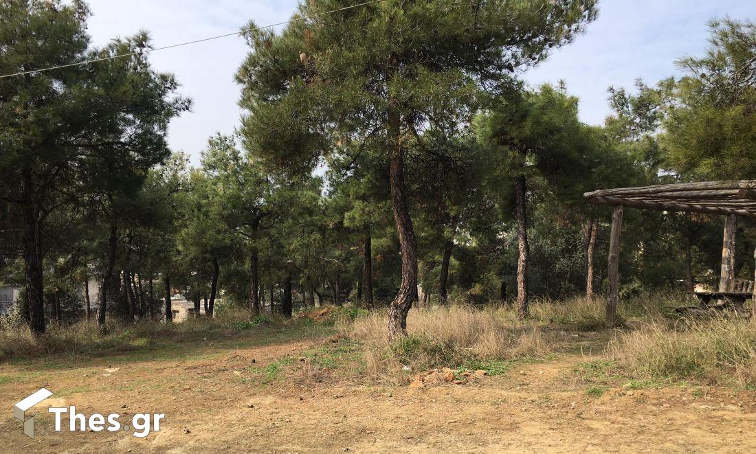 δάσος δέντρα Θεσσαλονίκη Σέιχ Σου
