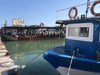 Θερμαϊκός Κόλπος: Τοξικό φυτοπλαγκτόν απειλεί τα μύδια