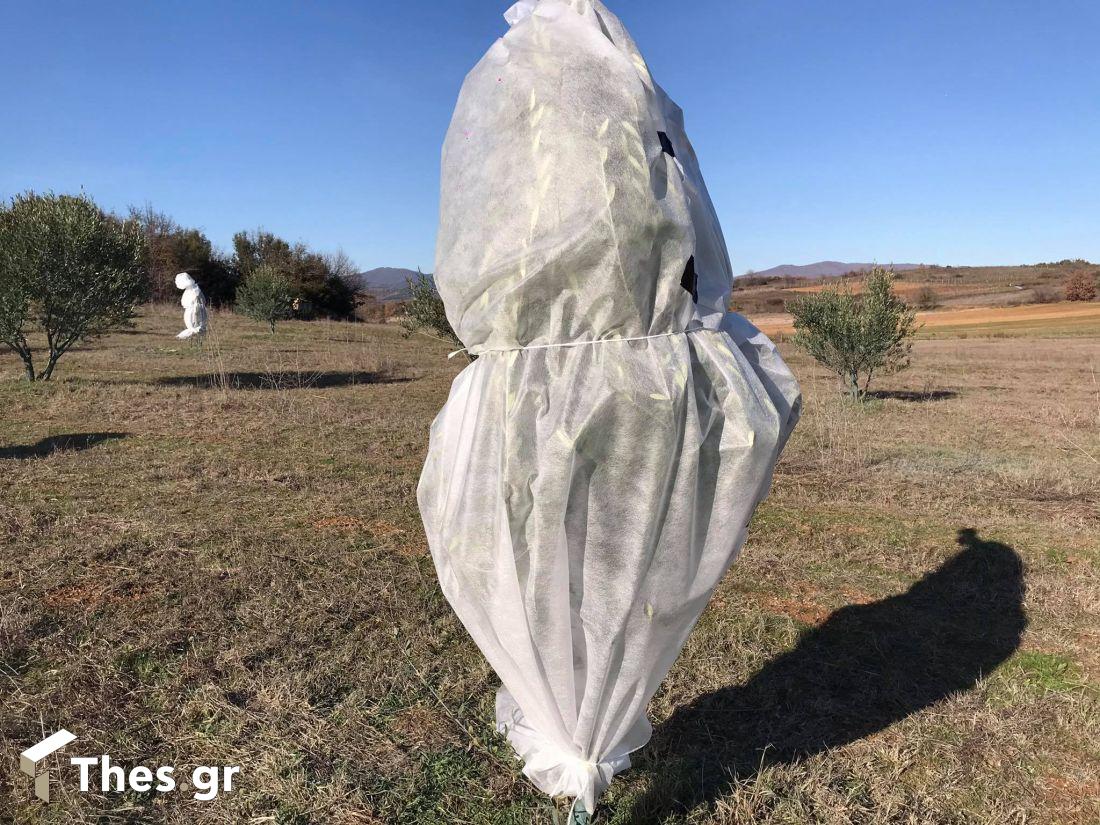 προστασία δέντρων και καλλιεργειών από αγρότες από χιονιά και παγετό