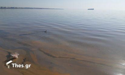 Συνεχίζονται οι εργασίες αντιρρύπανσης από τα πετραλαιοειδή στον Θερμαϊκό