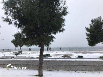 Καιρός: Στο επίκεντρο της ψυχρής εισβολής η Δυτική Μακεδονία – «Δεν αποκλείεται το χιόνι να φτάσει στον Θερμαϊκό»