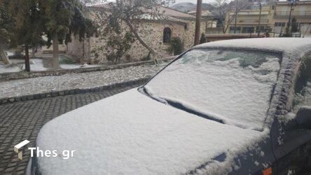 Καιρός: Χιονίζει στα ορεινά της Χαλκιδικής και σε περιοχές της Βόρειας Ελλάδας (ΒΙΝΤΕΟ)