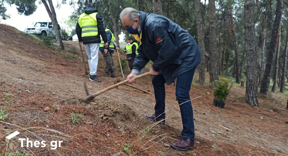 δενδροφύτευση δήμος Θερμαϊκού