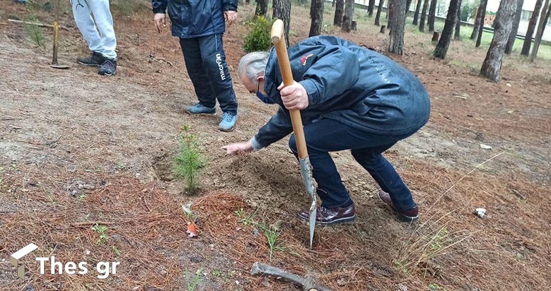 δενδροφύτευση δήμος Θερμαϊκού Περαία