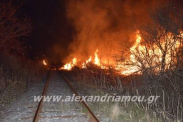 Ακινητοποιήθηκε τρένο λόγω φωτιάς στην Αλεξάνδρεια (ΒΙΝΤΕΟ & ΦΩΤΟ)