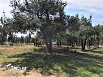 Θεσσαλονίκη: Κλείνει αύριο (21/7) το Σέιχ Σου λόγω πολύ υψηλού κινδύνου πυρκαγιάς
