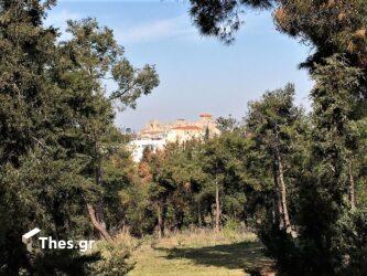 Απόστολος Τζιτζικώστας: “Ξεκινά ο καθαρισμός του Σέιχ Σου”