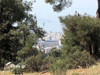 Ενας… ξεχασμένος μηχανισμός του ΑΠΘ στη «μάχη» κατά του κορονοϊού