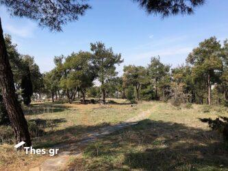 Θεσσαλονίκη: Βρέθηκε μετά από 24 ώρες ο ποδηλάτης που εξαφανίστηκε στο Σέιχ Σου