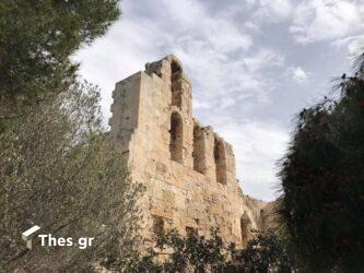 Ακρόπολη: Δεν θα πιστεύετε πόσα είδη φυτών υπάρχουν γύρω της