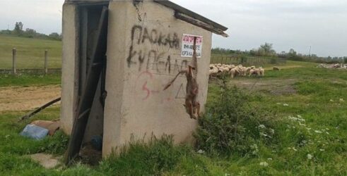 Φρίκη στην Καρδίτσα: Κρέμασαν ανάποδα ζωντανό αλεπουδάκι (ΦΩΤΟ)
