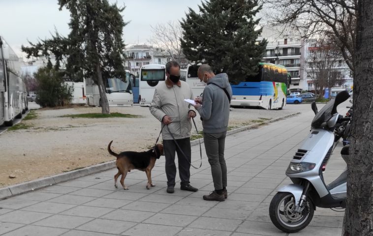 έλεγχοι